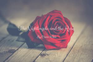  The Nightingale and the Rose – A Timeless Spanish Folktale about Love, Sacrifice, and Materialism!